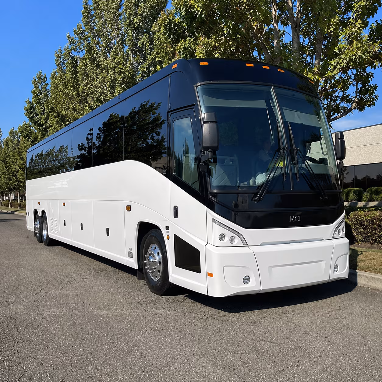 loveland 50 passenger charter bus