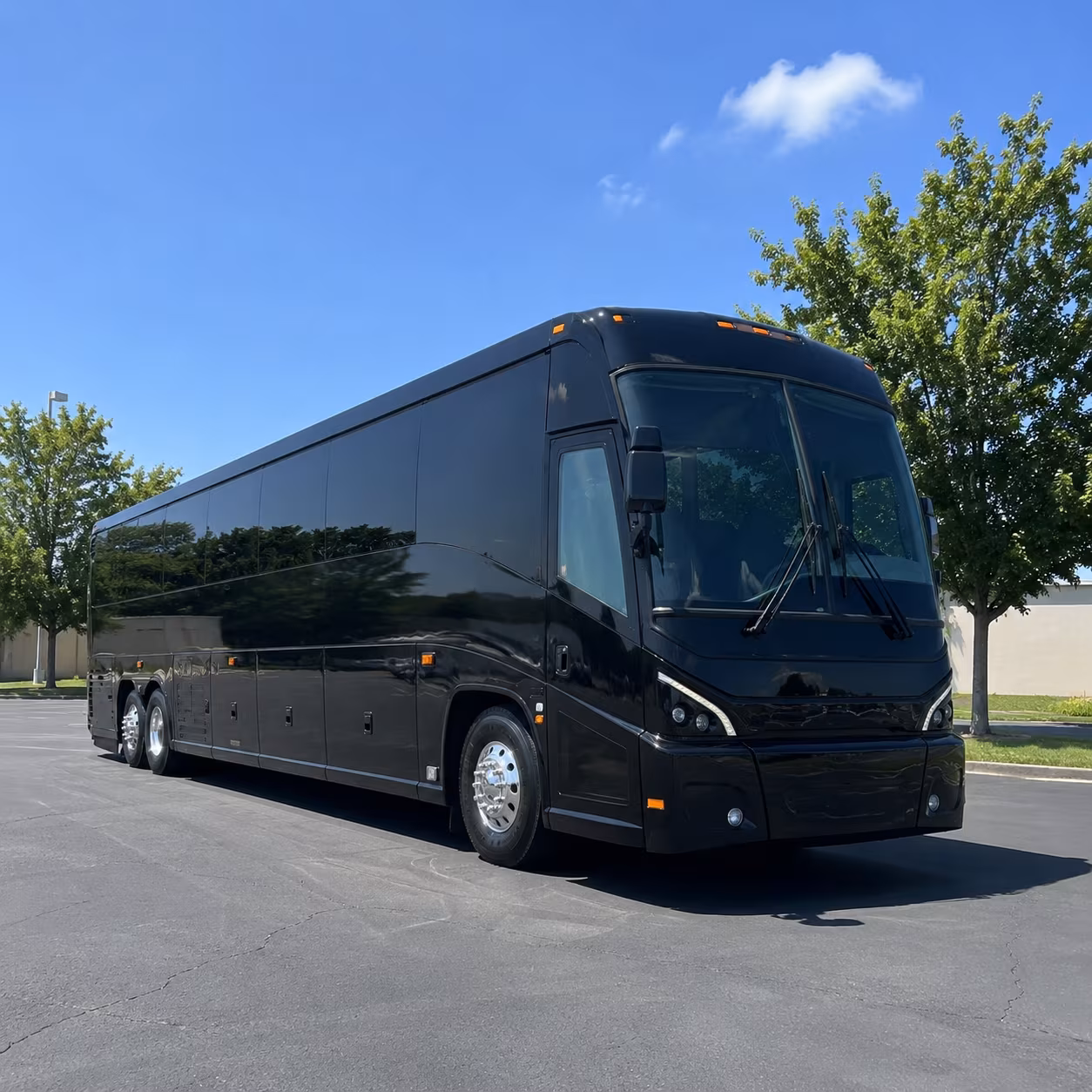 loveland 56 passenger charter bus